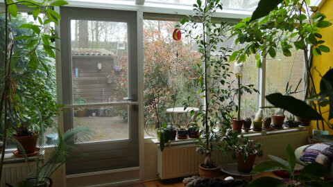 View to garden